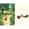 Mariposa - Imagen 4